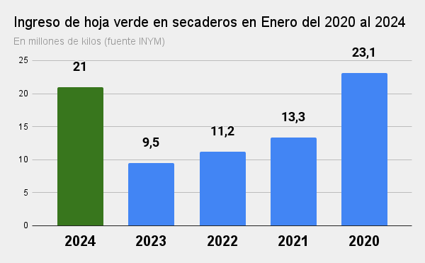 ingreso de hoja verde en secaderos en enero del 2020 al 2024