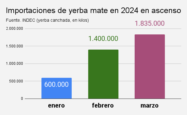 importaciones de yerba mate en 2024 en ascenso